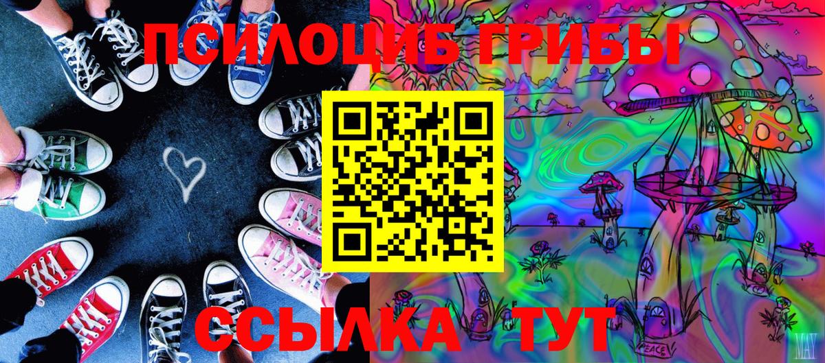 Псилоцибиновые грибы Psilocybine cubensis Гуково