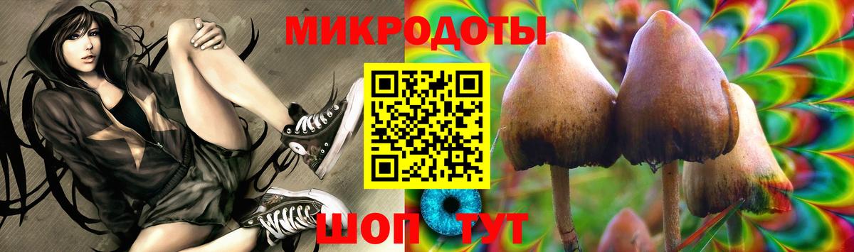 Гуково  Псилоцибиновые грибы MAGIC MUSHROOMS  Вход с VPN 